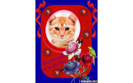 Moldura - Amizade Faz Bem