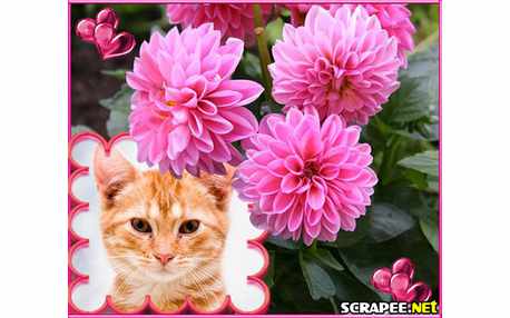 Moldura - Dalia Rosa