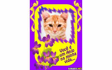 Moldura - Laco Amarelo