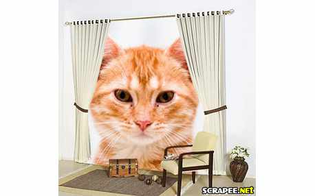 Moldura - Cortina Branca