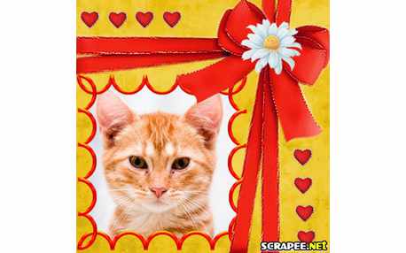 Moldura - Fita Vermelha