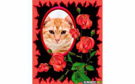 Moldura - Trabalhada