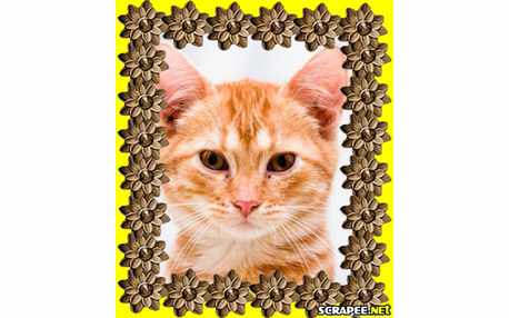 Moldura - Envelhecida