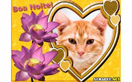 Moldura - Grande Coracao