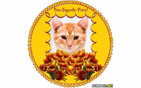 Moldura - Segunda Feira