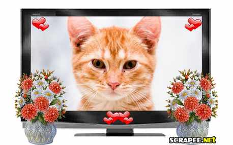 Moldura - Tela Plana