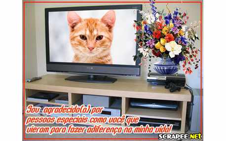 Moldura - Tv De Plasma