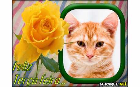 Moldura - Rosa Amarela