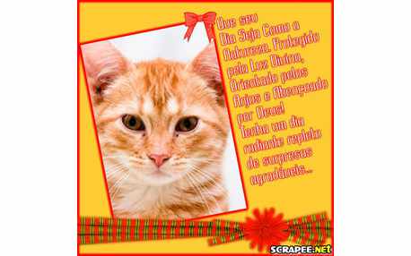 Moldura - Laco Listrado