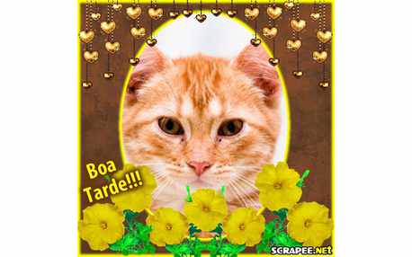 Moldura - Canteiro De Flor