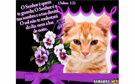 Moldura - Versiculo De Salmos