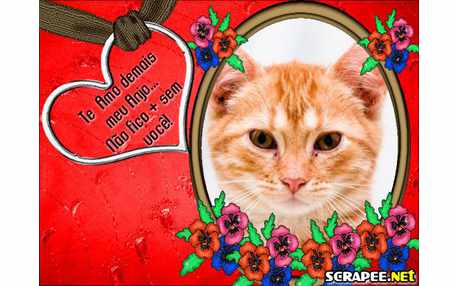 Moldura - Nao Fico Sem