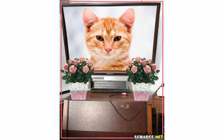 Moldura - Tela Grande