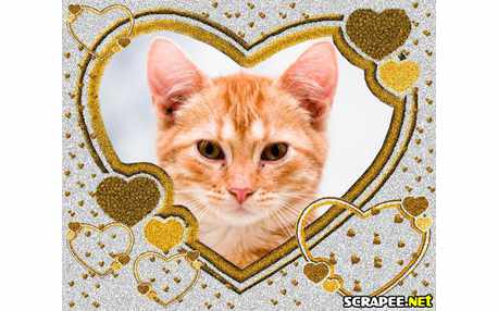 Moldura - Monte De Coracao