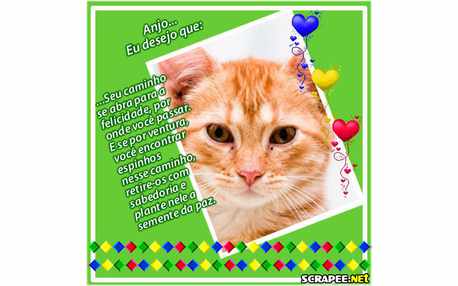 Moldura - Seu Caminho