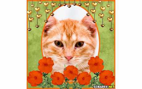 Moldura - Flores Laranja