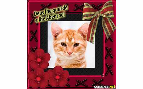 Moldura - Laco De Natal