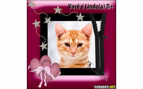 Moldura - Voce E Lindo