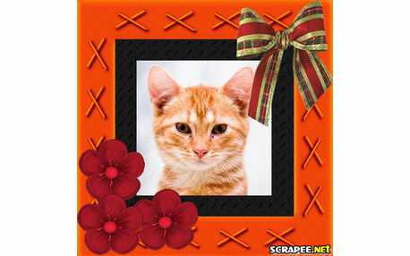 Moldura - Trabalhada