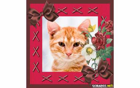 Moldura - Ramo De Flores