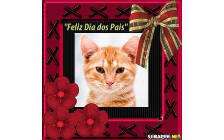 Moldura - Pai Borda X