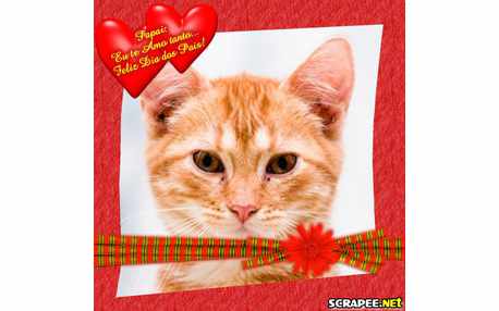 Moldura - Papai Que Amo