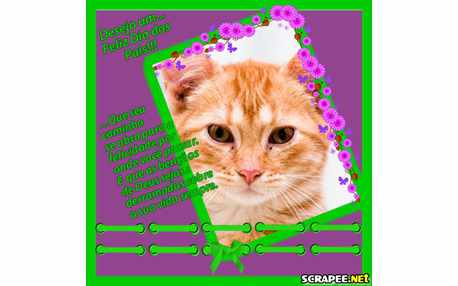 Moldura - Pai Feliz Dia