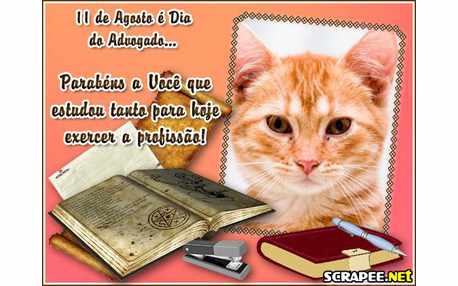 Moldura - Parabens Advogado