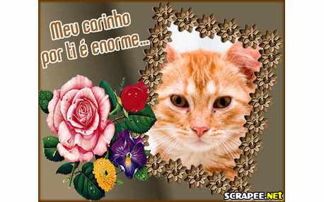 Moldura - Carinho Enorme