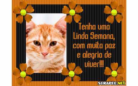 Moldura - Com Muita Paz