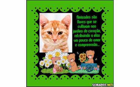 Moldura - Amizade Sao Flores