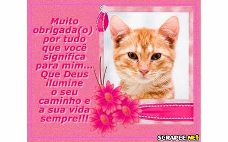 Moldura - Muito Obrigado