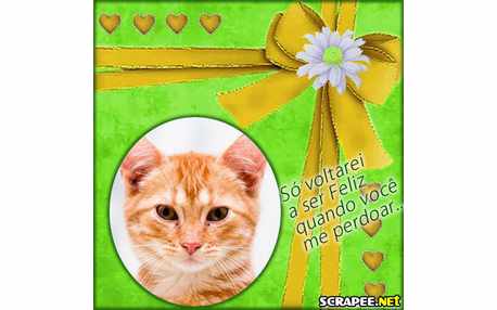 Moldura - Quando Me Perdoar