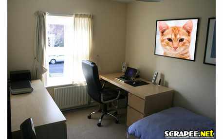 Moldura - Demonstracao De Escritorio