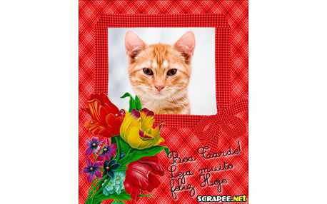 Moldura - Seja Feliz Hoje