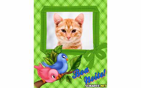 Moldura - Puro Xadrez