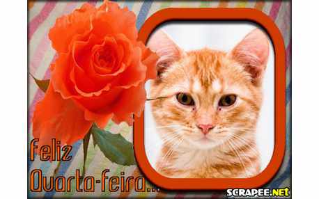 Moldura - Quarta Feliz