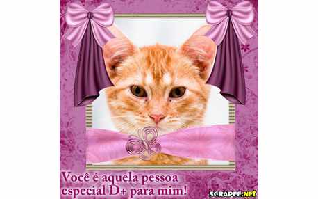 Moldura - Especial D