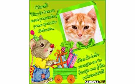 Moldura - Aniversario Virtual