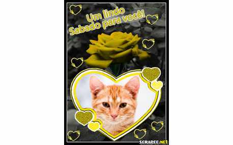 Moldura - Rosa Mostarda