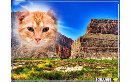 Moldura - Montanhas Rochosas