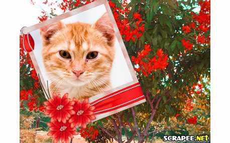 Moldura - Arvore Florida