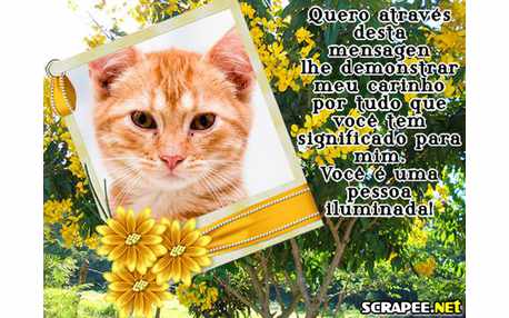 Moldura - Demostracao De Carinho