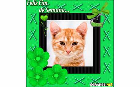 Moldura - Flores Verde