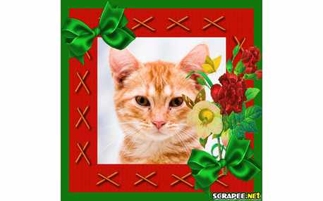 Moldura - Laco Verde