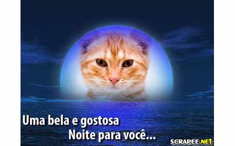 Moldura - Montagem Da Lua