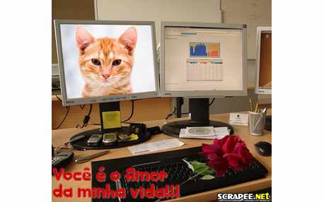 Moldura - Rosas No Teclado