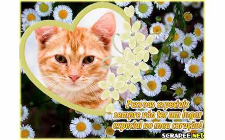 Moldura - Margaridas Do Coracao