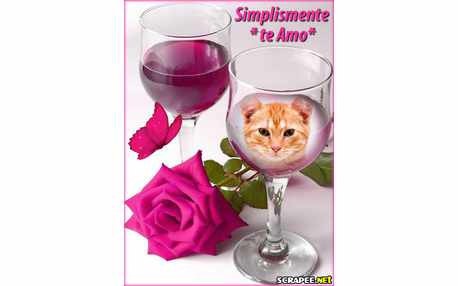 Moldura - Rosa E Tacas