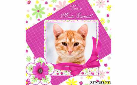 Moldura - Muito Especial